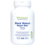 Black Walnut image 1