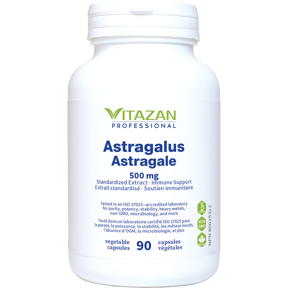 Astragalus Image