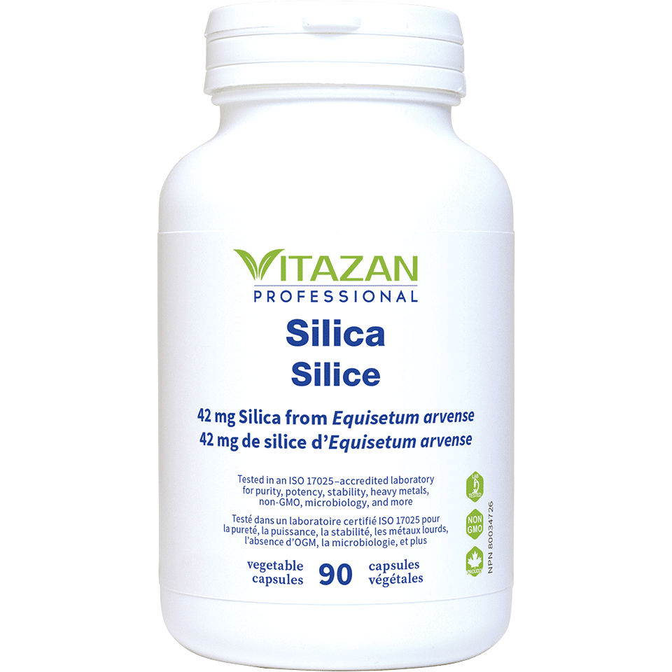 Silica Image