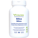 Silica image 1