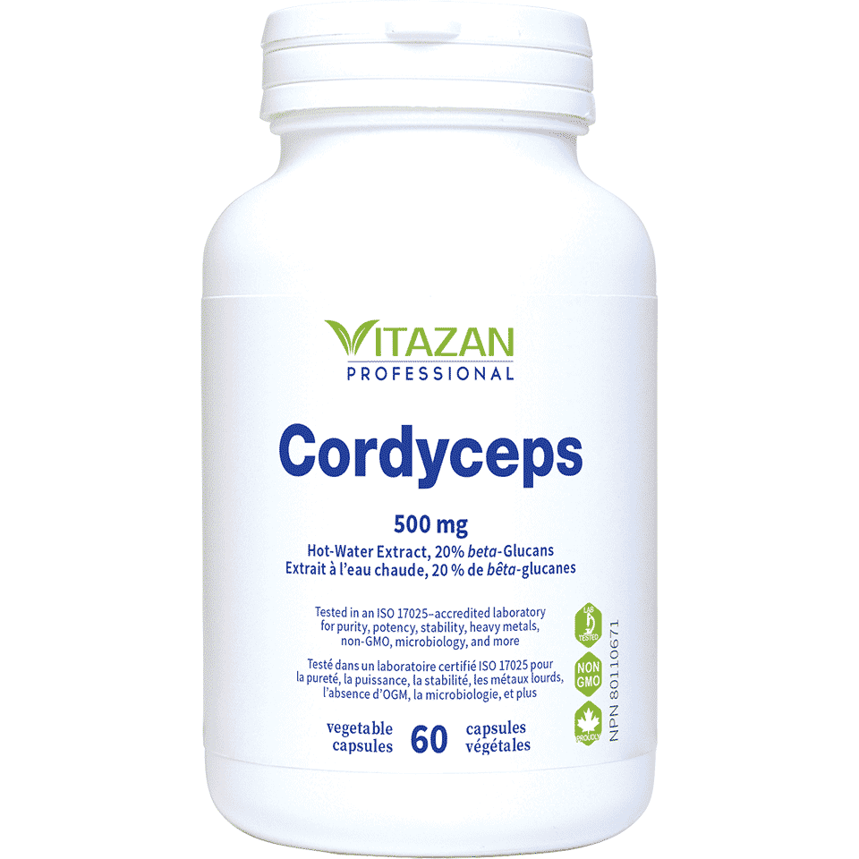 Cordyceps Image