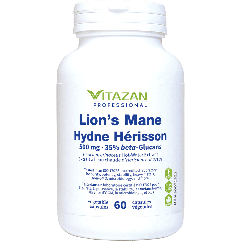 Lion’s Mane Image