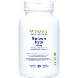 Spleen image 1