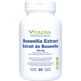Boswellia Extract image 1