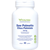 Saw Palmetto image 1