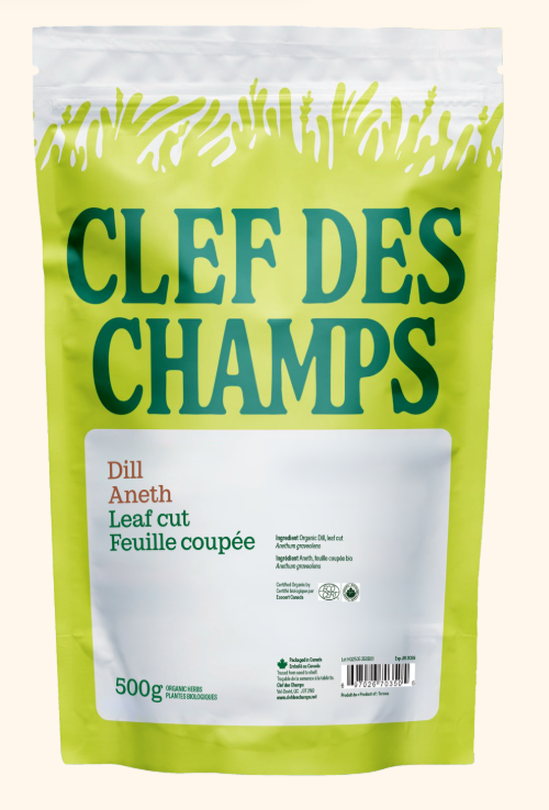 Aneth - Feuille coupée