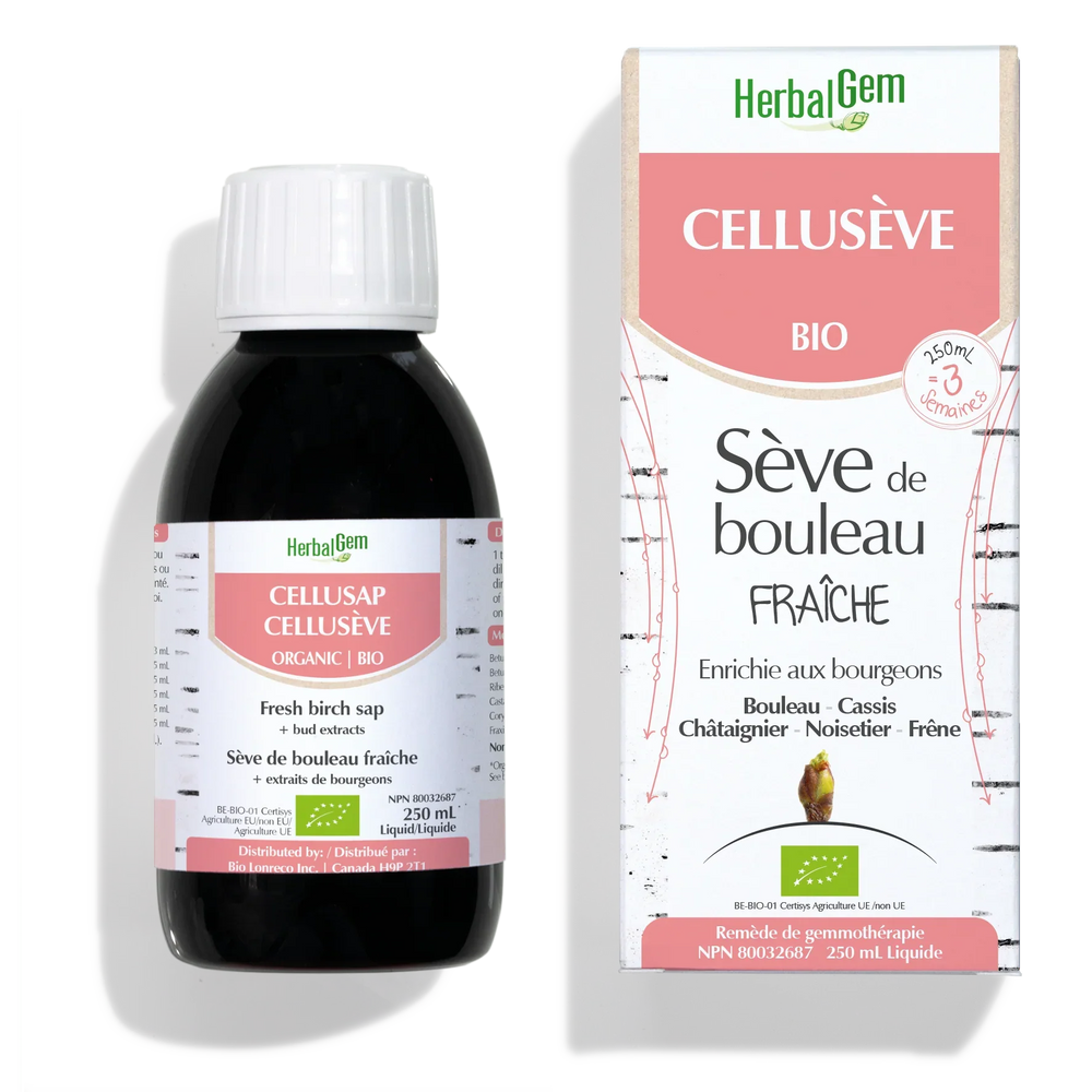 CELLUSÈVE - G21