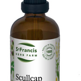 Scutellaire image 1