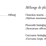 Chardon Marie Vivant image 3