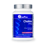 Choline 275mg image 1