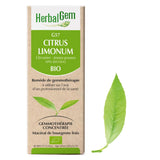 G57 - Citrus limonum - citronnier image 1