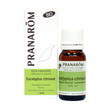 Eucalyptus citronné image 1
