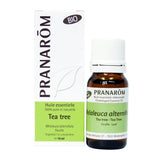 Tea tree image 1