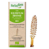 G54 - Equisetum arvense - Prêle image 1
