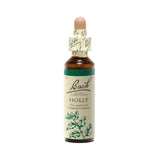 Holly - Houx image 1