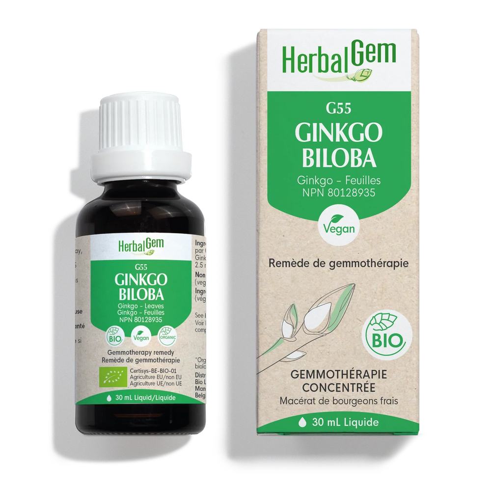 Ginkgo biloba (Ginkgo) G55