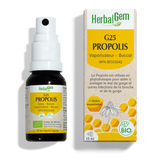 G25 -Propolis spray buccal image 1
