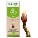 G34 - Ribes Nigrum - cassis image 1