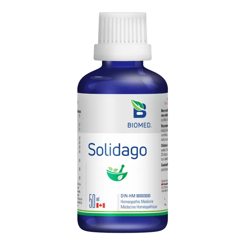 Solidago