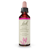 Sweet Chestnut - Chataigner image 1