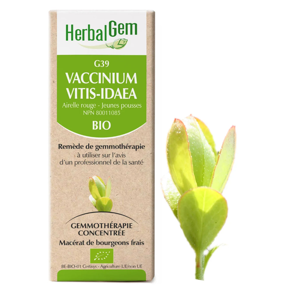 G39 - Vaccinium vitis-idaea - Airelle Rouge