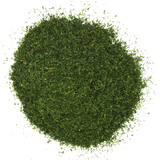 Aneth - Feuille coupée image 2
