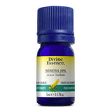Mimosa 10% Absolue Conv. image 1