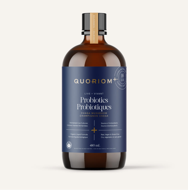 Chaga Probiotiques liquides