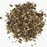Echinacea angustifolia - racine coupée image 3