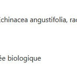 Échinacée Plus enfants image 2