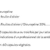 Feuille d'olivier - Olive Leaf image 2
