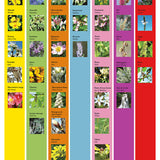 Elm - Orme image 2