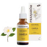 Camelia image 1