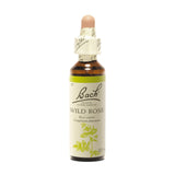 Wild Rose - Églantine image 1