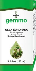 Olea europaea  Image