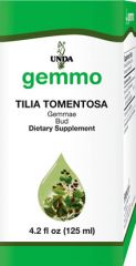 Tilia tomentosa  Image