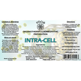 Intra-Cell image 1