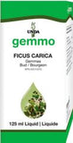 Ficus carica  image 1