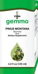 Pinus montana  Image