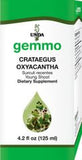 Crataegus oxyacantha  image 1