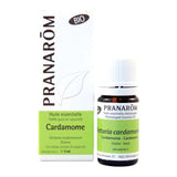 Cardamome image 1