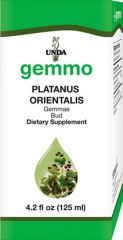 Platanus orientalis  Image
