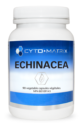 Echinacea Image