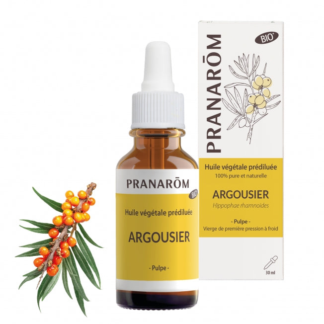 Argousier