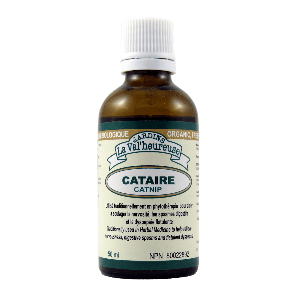 Cataire