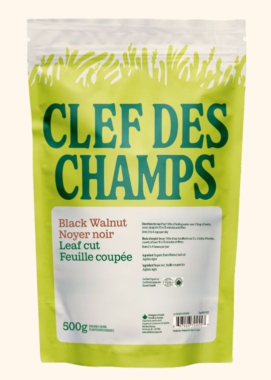 Noyer noir - Feuille