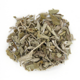 Sauge - feuille entière image 3