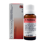 Gelsemium sempervirens image 1