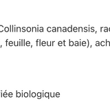 Tonique veineux image 2